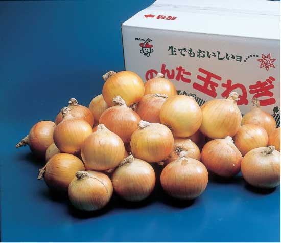 【送料込】(サラダ用) 玉ねぎ 約10kg 【送料込】(サラダ用) 玉ねぎ 約10kg