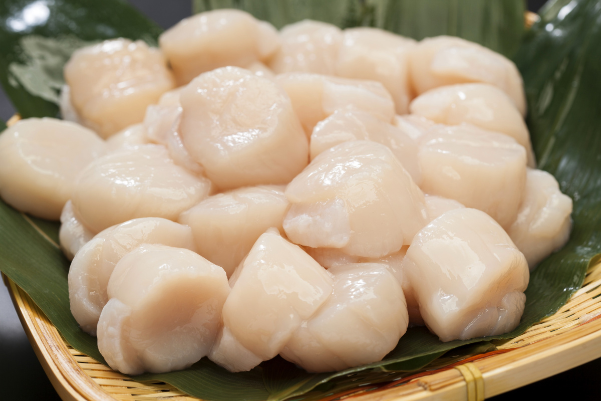 刺身用 冷凍帆立貝柱 約500g  [パック]
