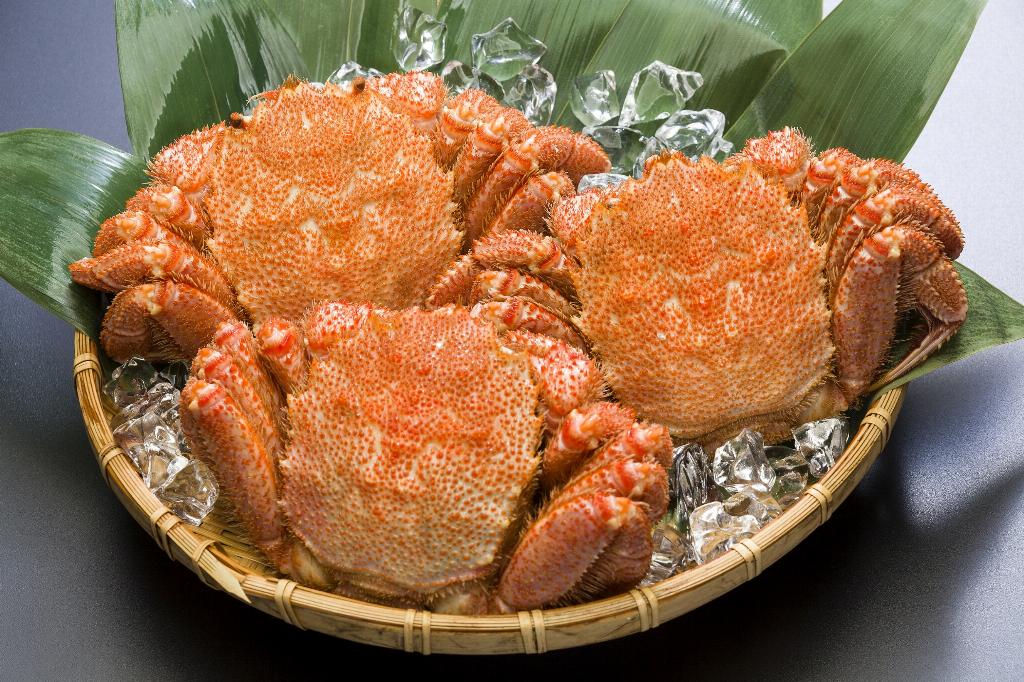 ボイル毛蟹 約500g×3尾